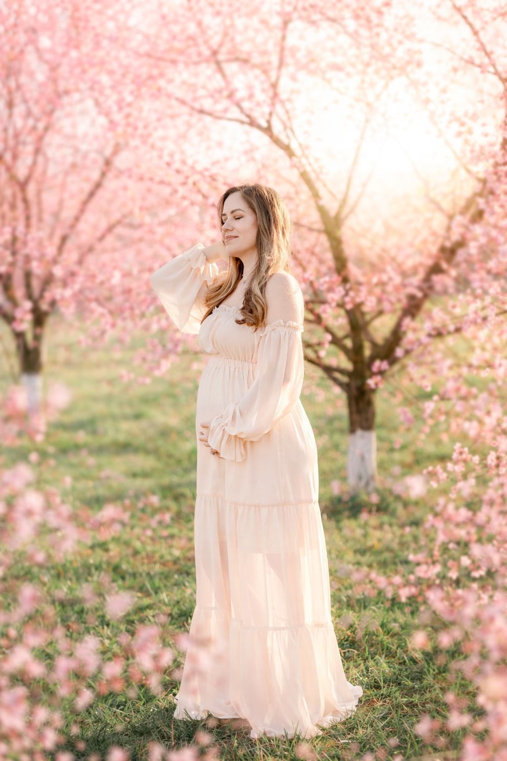 Golden hour peach blossom maternity portrait of expecting mother in Raleigh NC