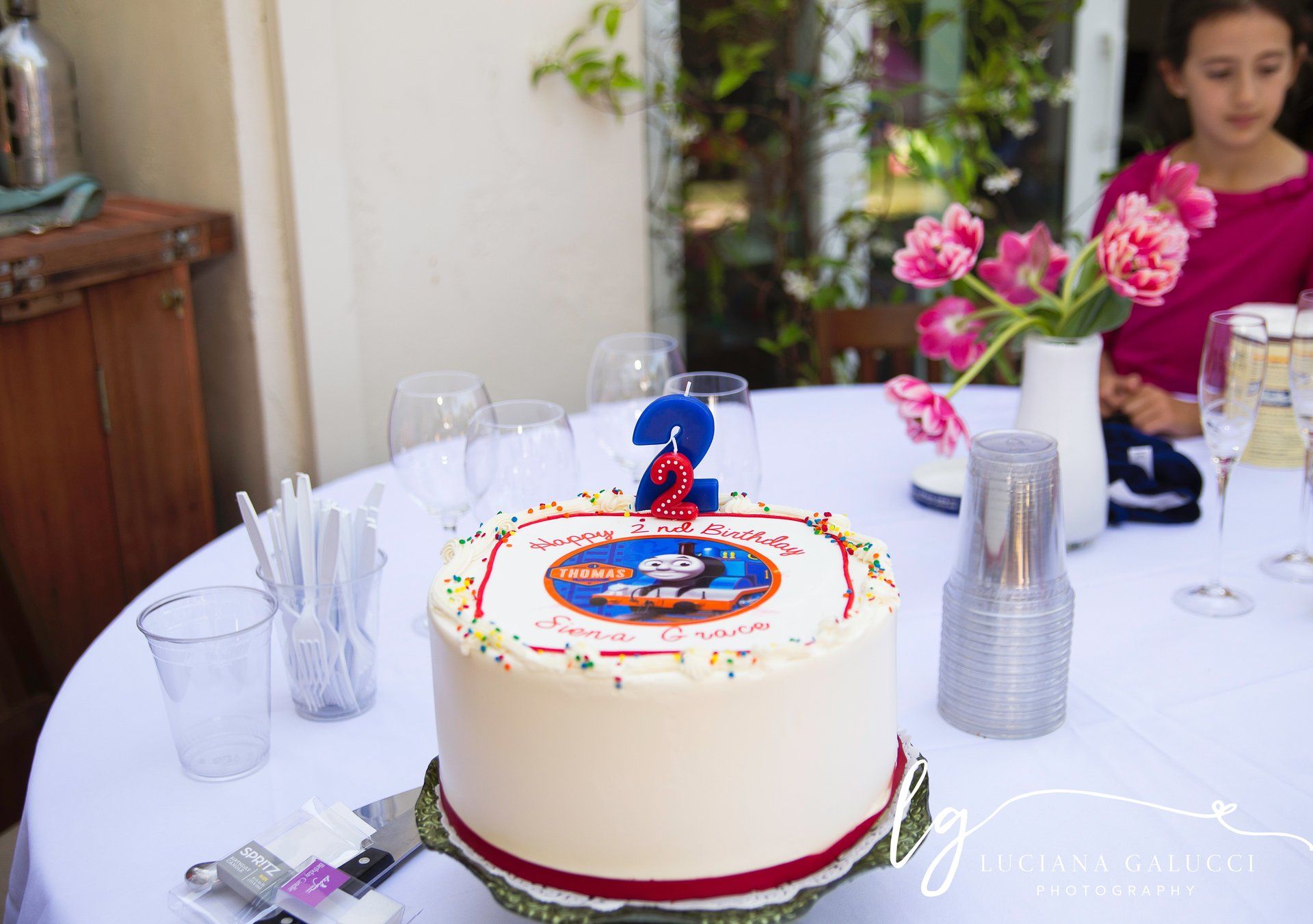 birthday party table portrait in Raleigh NC