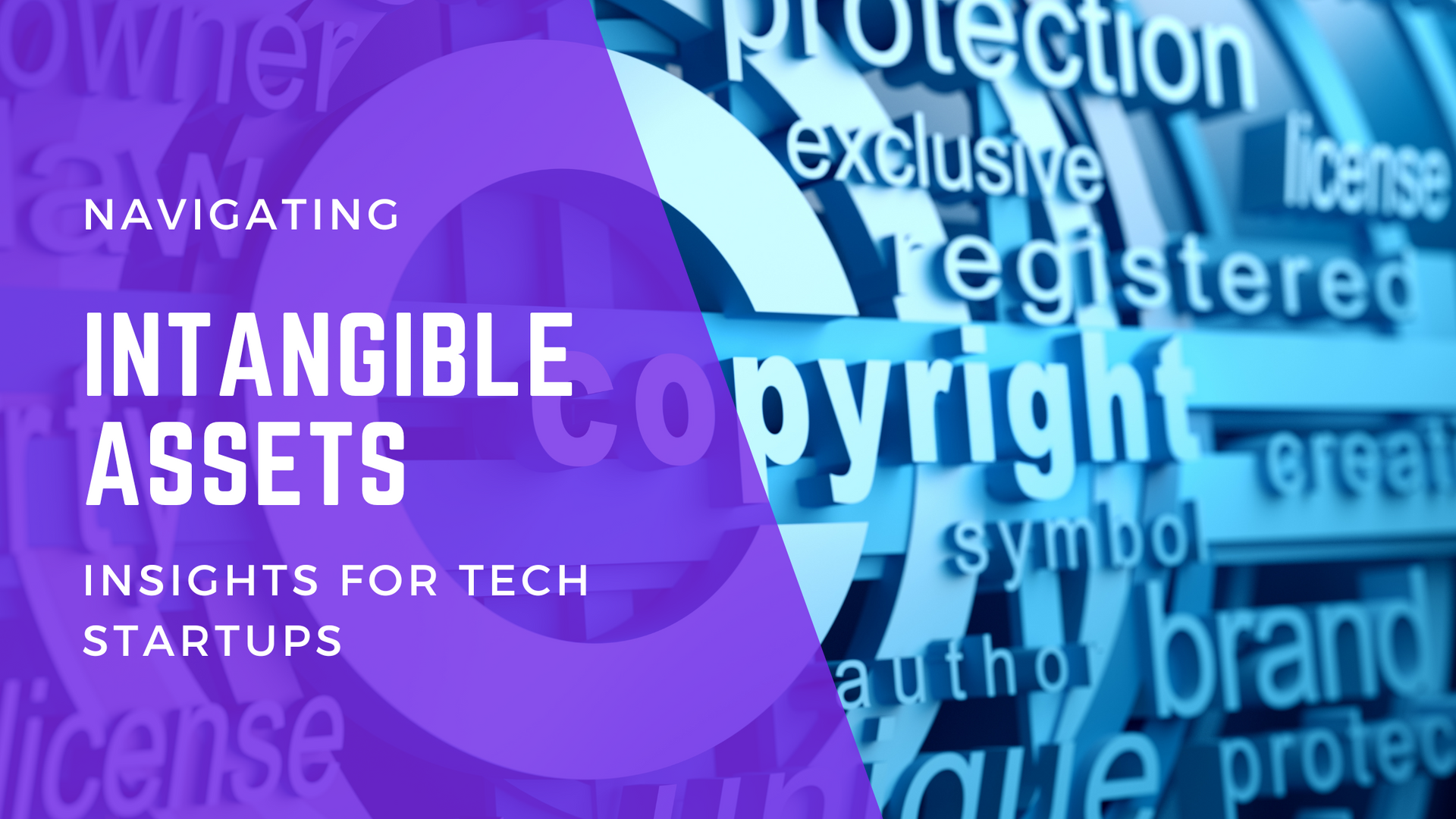 Navigating the Intangible Assets: Insights for Tech Startups