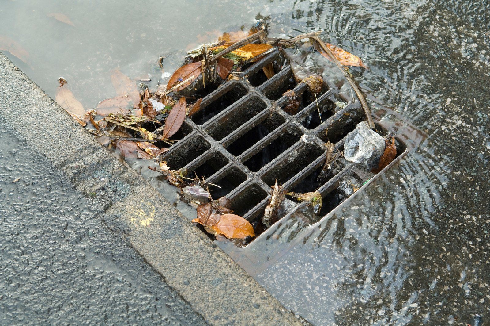 A drain on the side of a road with water coming out of it.