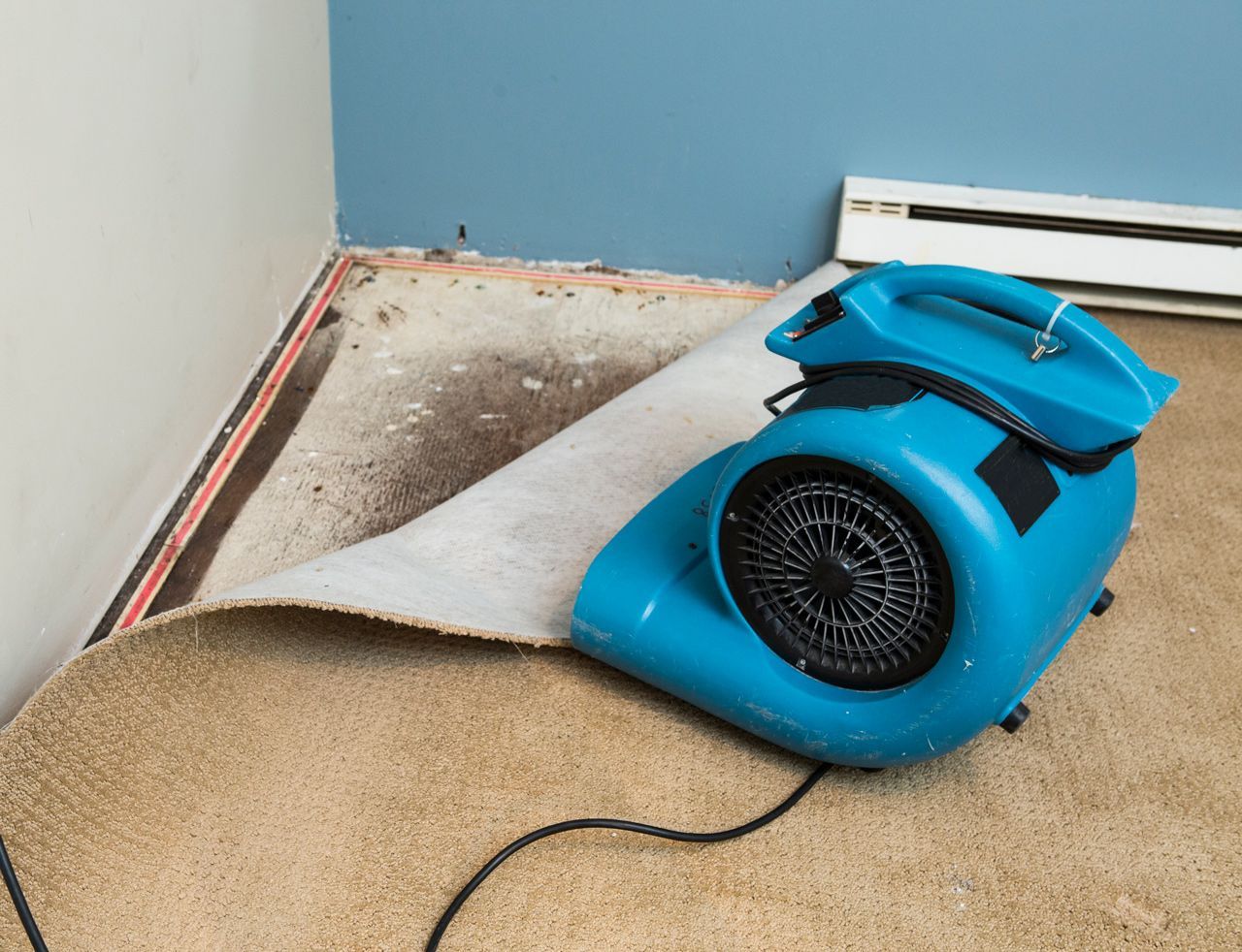 Restoration Equipment — Cape Girardeau, MO — SEMO Solutions Restoration Equipment — Cape Girardeau, MO — SEMO Solutions