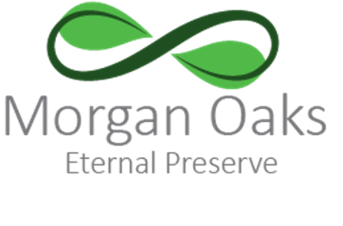 Morgan Oaks Eternal Preserve logo with green infinity leaf icon and gray text