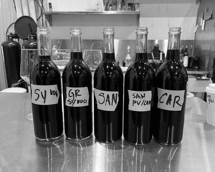 Five labeled wine bottles from spring 2025 blending trials lined up on a tasting room counter.
