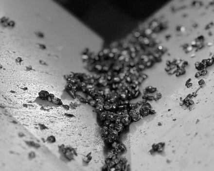 Close-up of crushed grape clusters in the crusher bin during harvest processing.