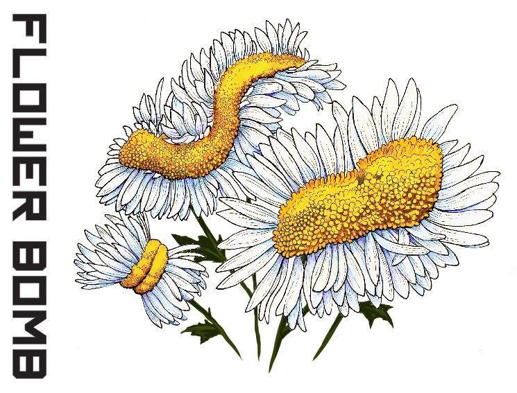 Flower Bomb 2019 label art by Dane Curley