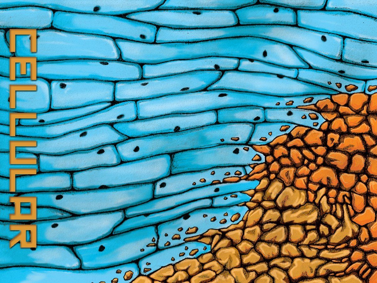 Blue cells with an orange cluster on the right and vertical “CELLULAR” text on the left.