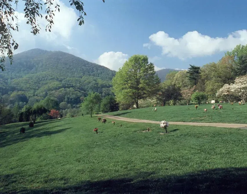 Green hillside pasture with scattered cows, trees, and mountains under a partly cloudy sky
