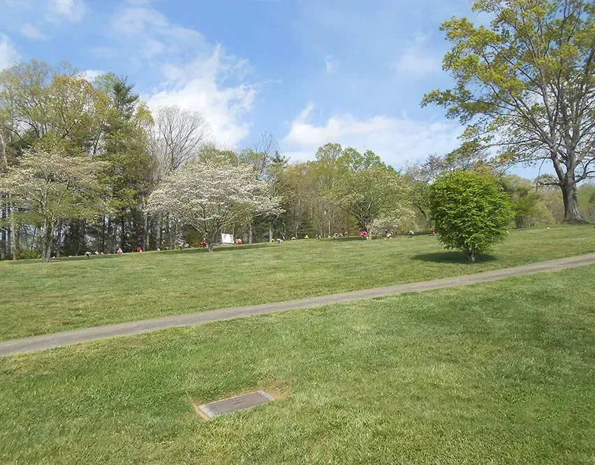 Grassy park with a paved path, trees in bloom, and a blue sky