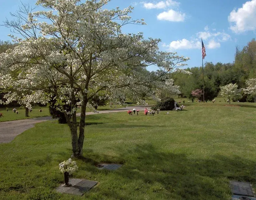 Tree in a grassy park with a paved path, people in the distance, and an American flag by the trees.