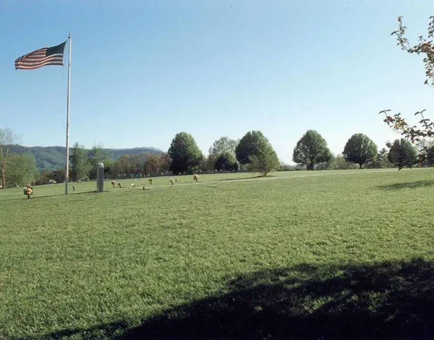 Grassy cemetery with rows of trees and an American flag on a tall pole under a clear sky.