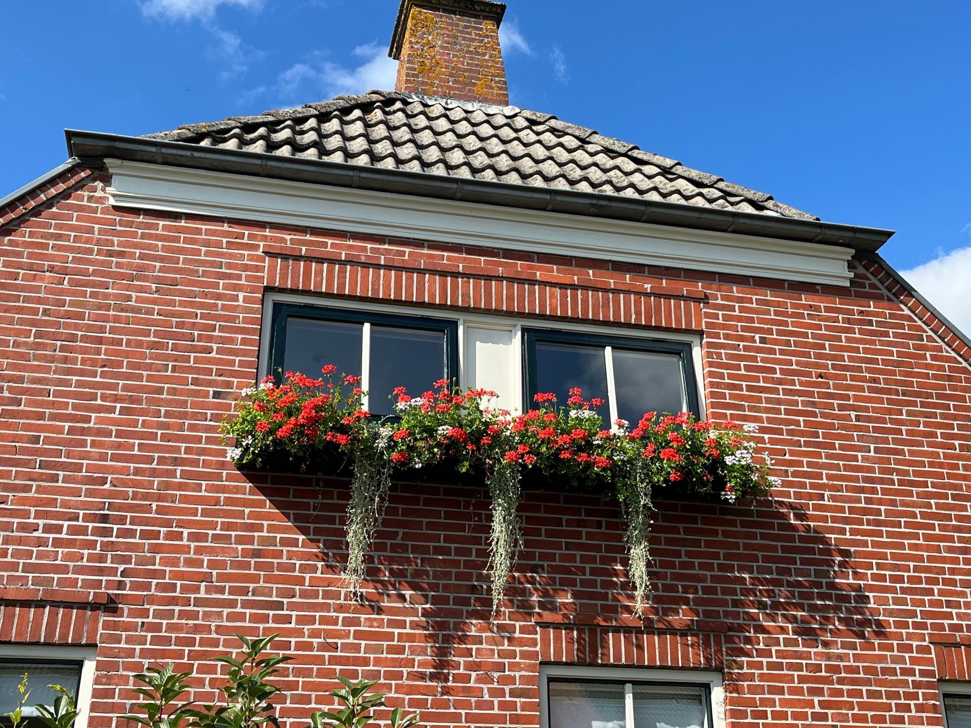 B&B Op 't Veurhoes Sauwerd