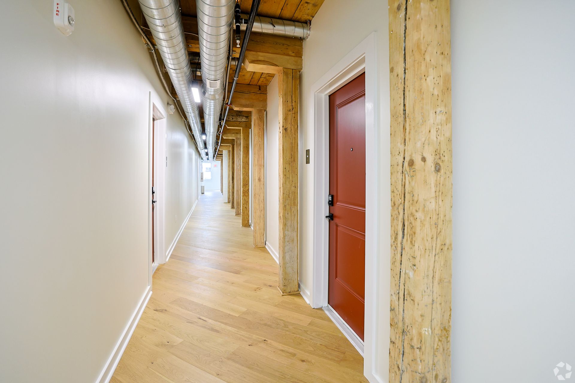 A corridor at The Reeds lined with the building's original timber columns above refinished hardwood floors