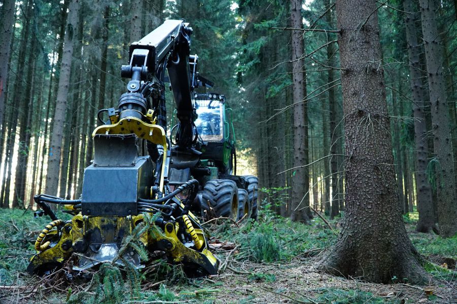 Un tracteur coupe des arbres dans une forêt.
