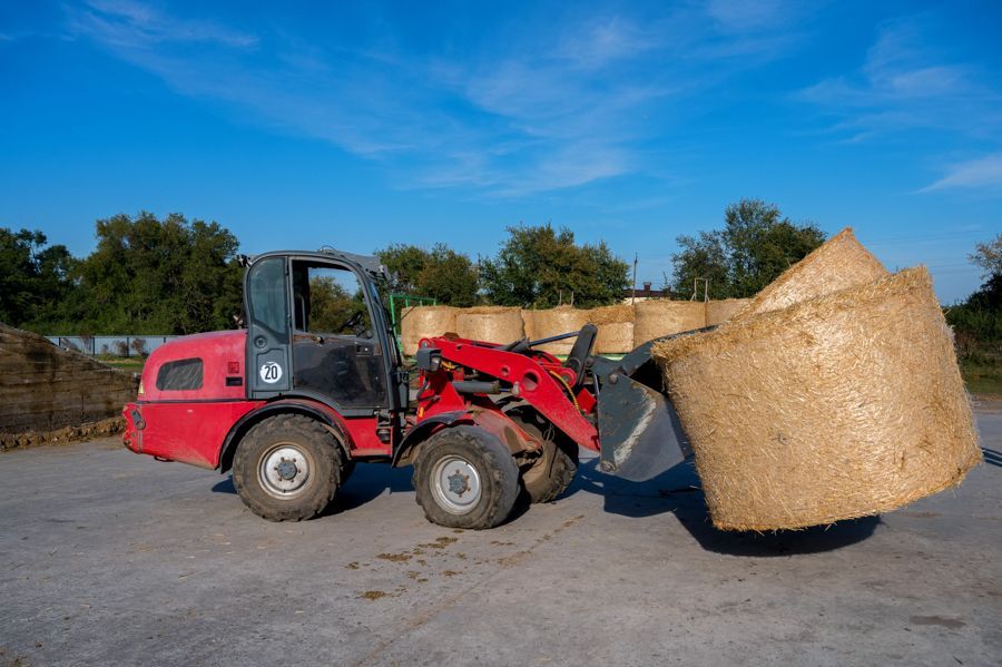 Un tracteur met du foin en balles dans un champ.