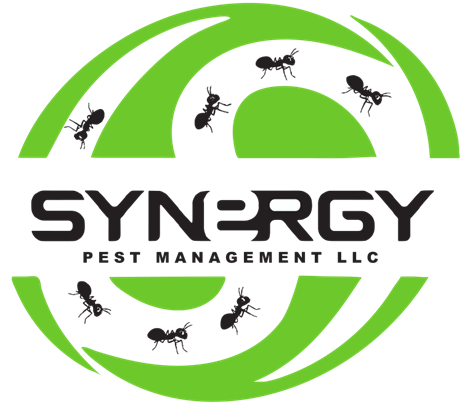 Synergy Pest Management Synergy Pest Management