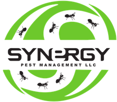 Synergy Pest Management
