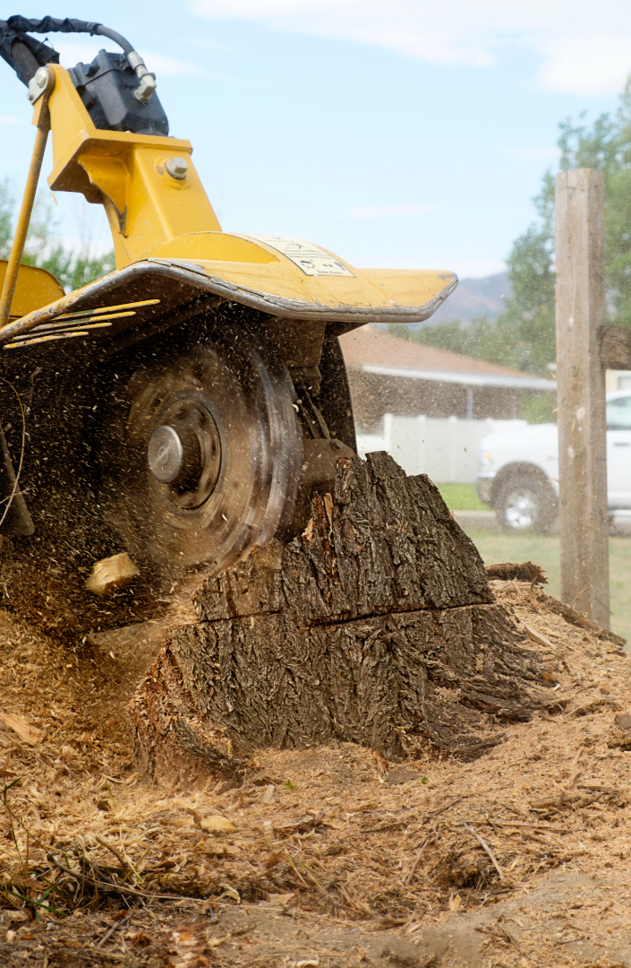 stump grinding