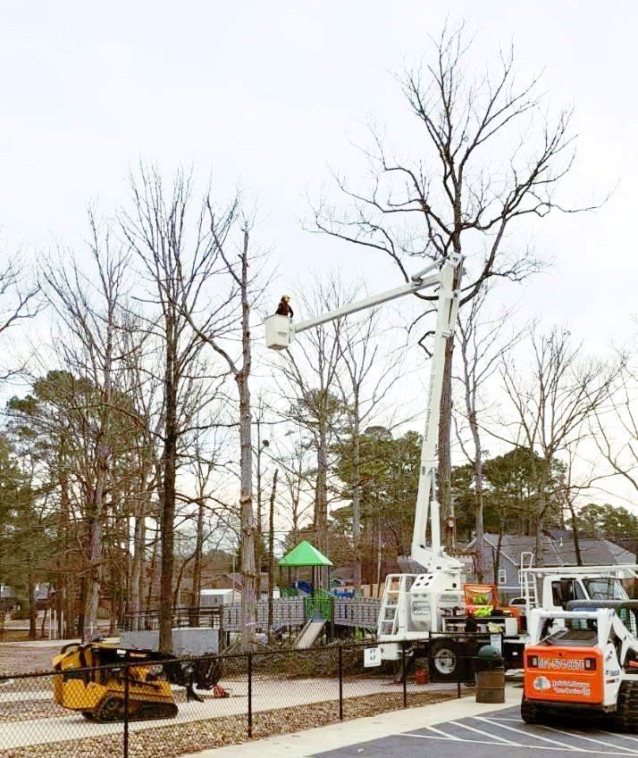 Construction equipment near tall leafless trees in a park, with a worker in a bucket lift.