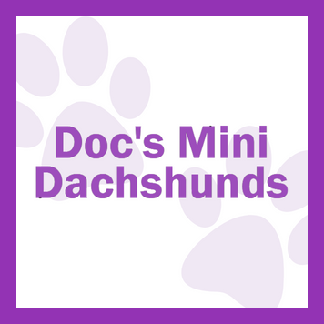 Purple logo reading “Doc’s Mini Dachshunds” on a white background with pale paw prints and dog paw shapes
