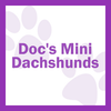 Purple “Doc’s Mini Dachshunds” logo with paw prints on a white background