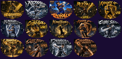Collage of gold and blue circular logo designs on a dark purple background