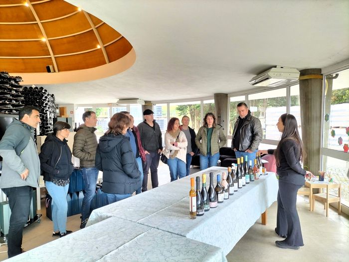 The Amity Family Tours Travelers at Winery (Alvarinho) from Lisbon