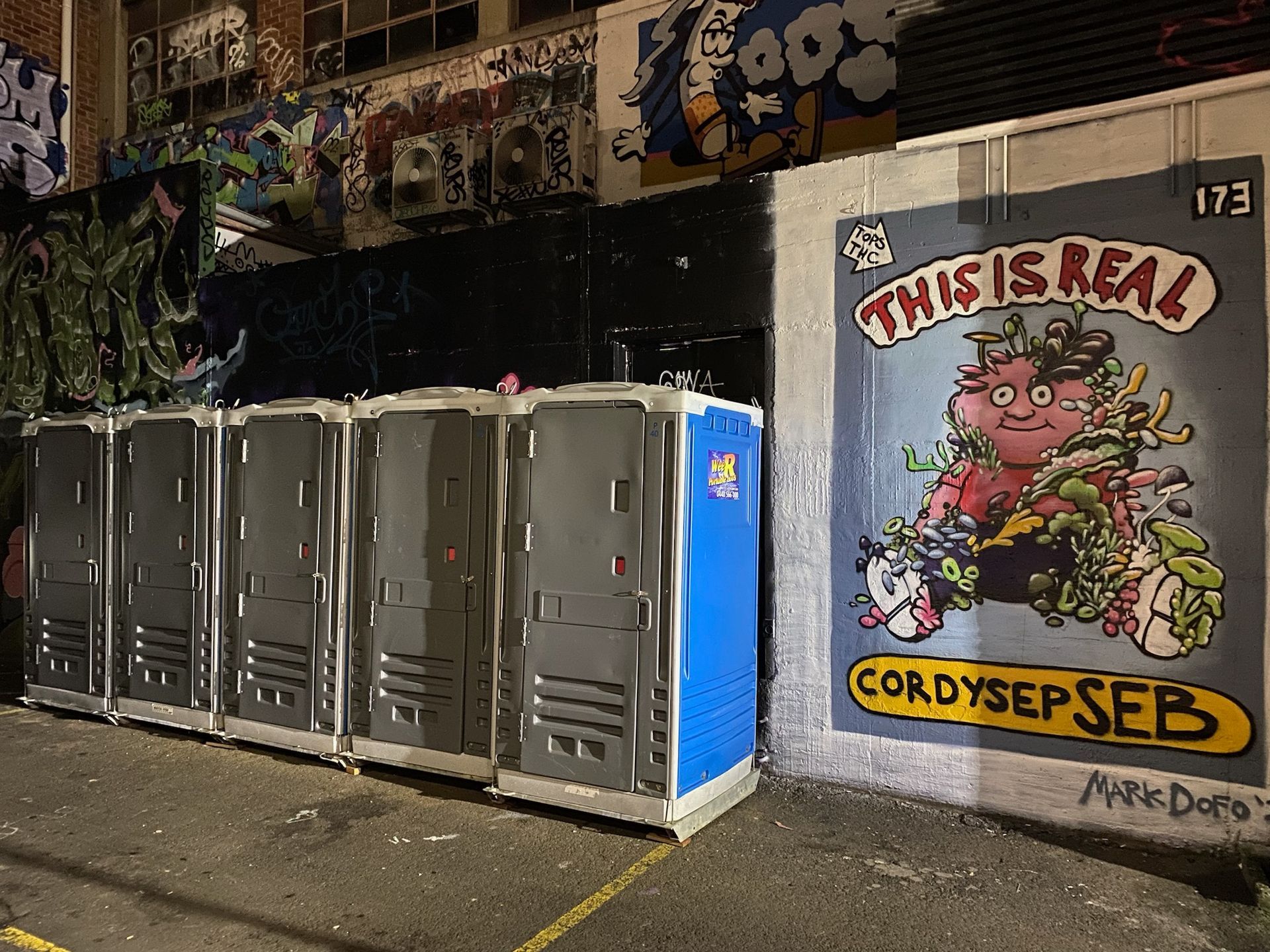 Street wall with lockers and a colourful graffiti mural reading “THIS IS REAL” and “CORDYSEPS.” — Wee R Pumping In Glenorchy, TAS