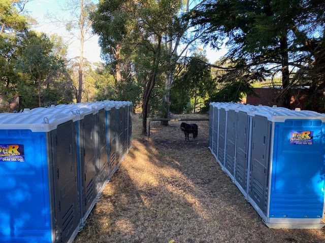 Two rows of blue portable toilets in a wooded outdoor area, with a dog standing in the path — Wee R Pumping In Glenorchy, TAS