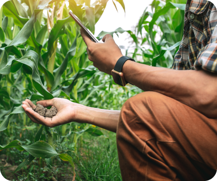 Farmer examining soil in a field, using a smartphone, wearing brown pants and a plaid shirt.