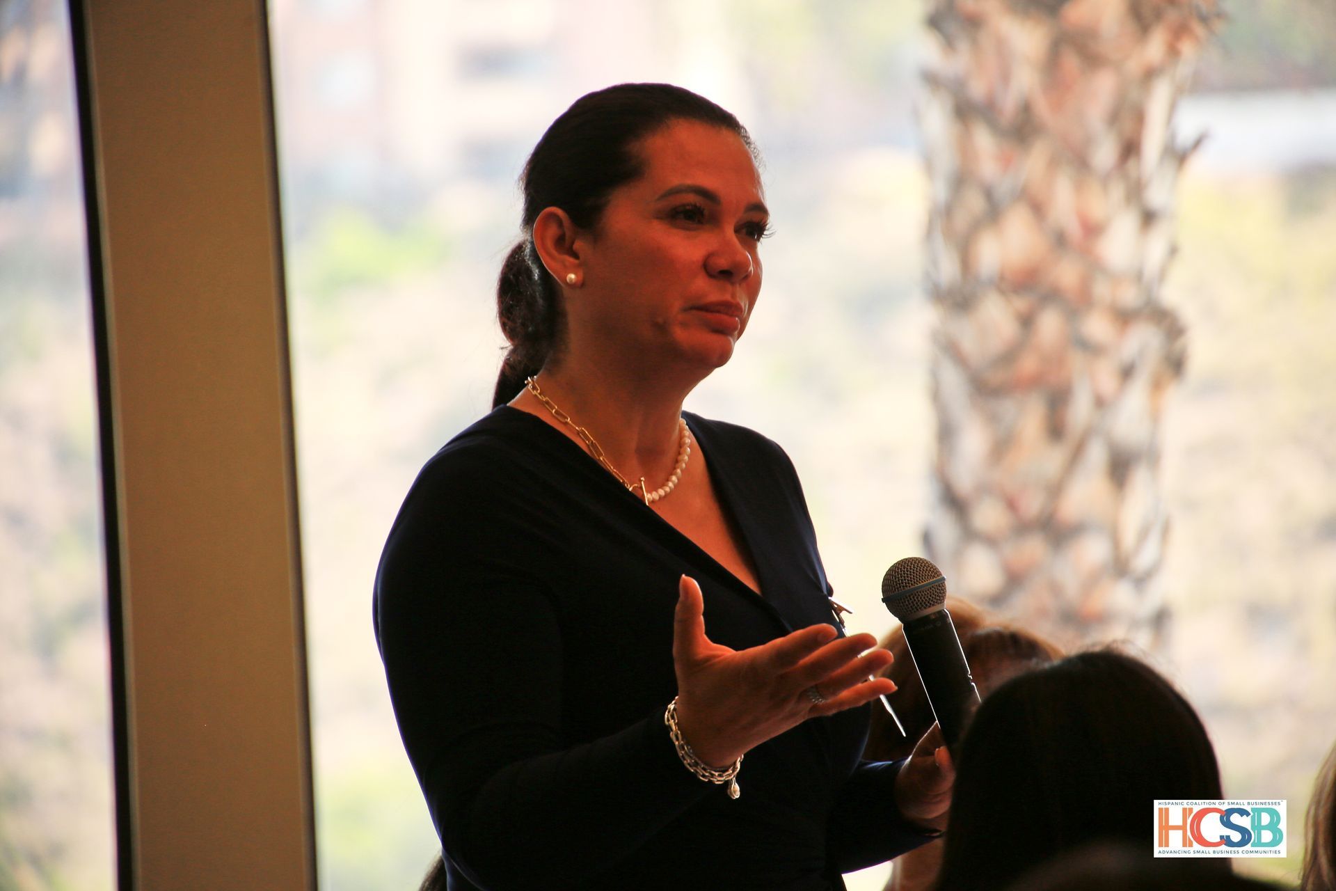 A woman speaking into a microphone with a hcsb logo in the corner