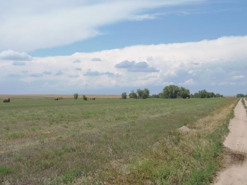 A dirt road going through a grassy field