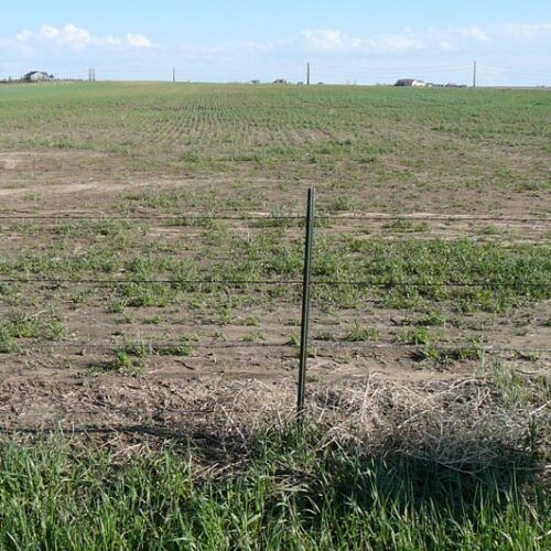 A fence post in the middle of a grassy field