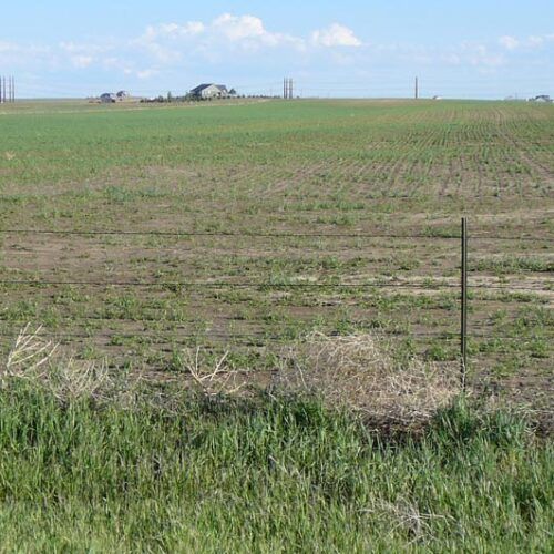 A large grassy field with a fence in the foreground
