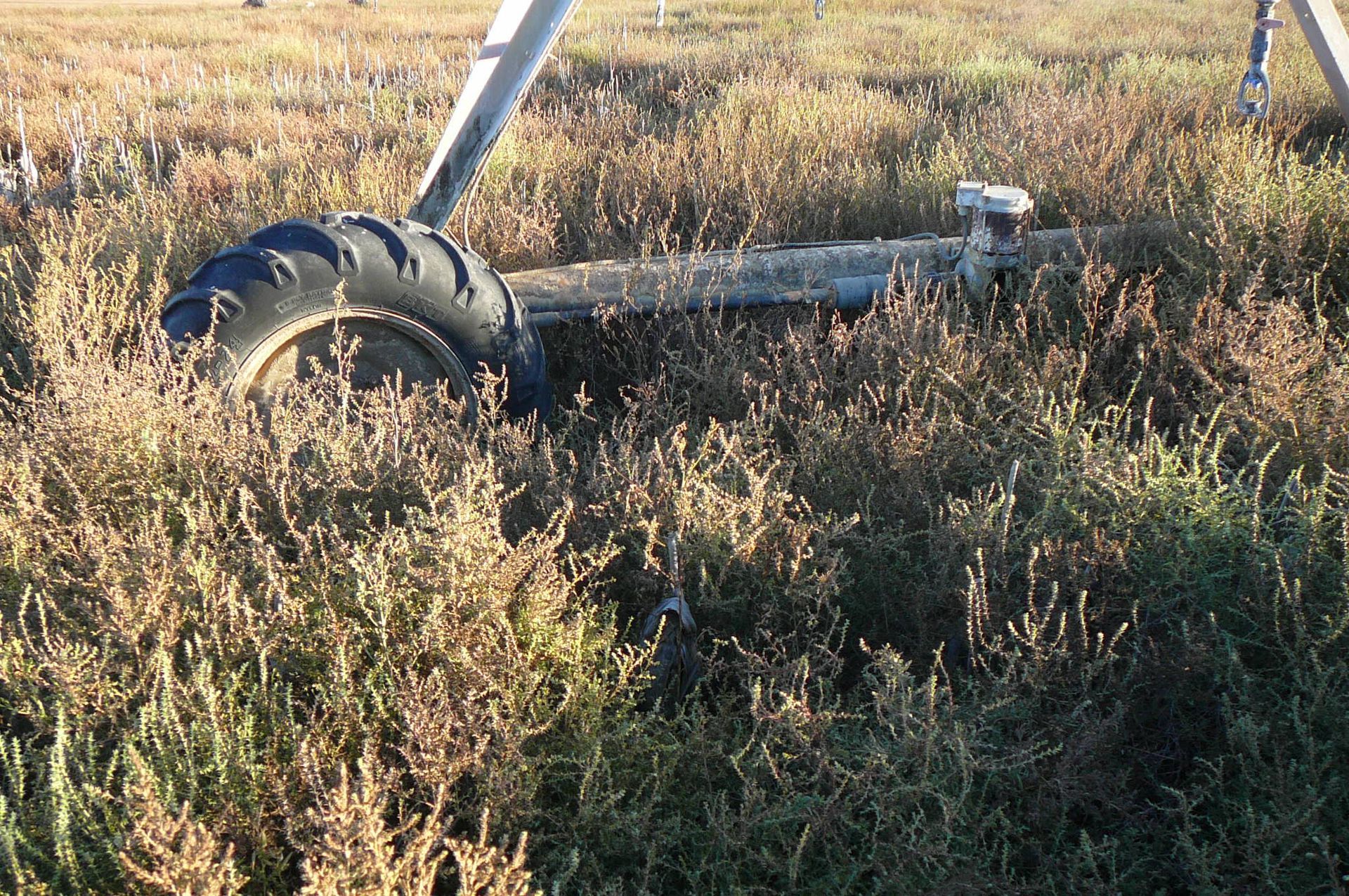 Wheel and irrigation pipe in tall, dry field vegetation.