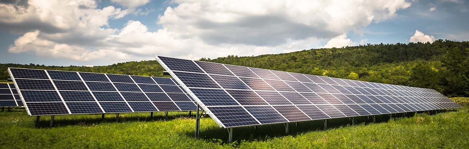 Solar panels in a field, with a forest and cloudy sky in the background.