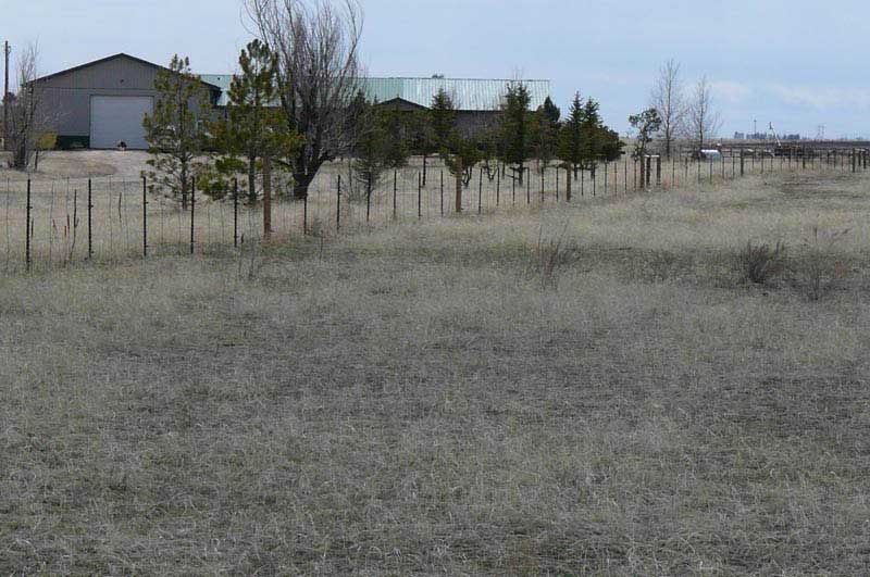 Field with fence and line of small trees leading to a building with metal roof.