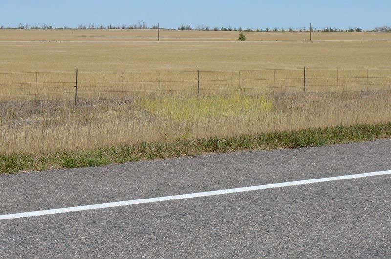 Roadside view of a grassy field with a wire fence under a clear blue sky.