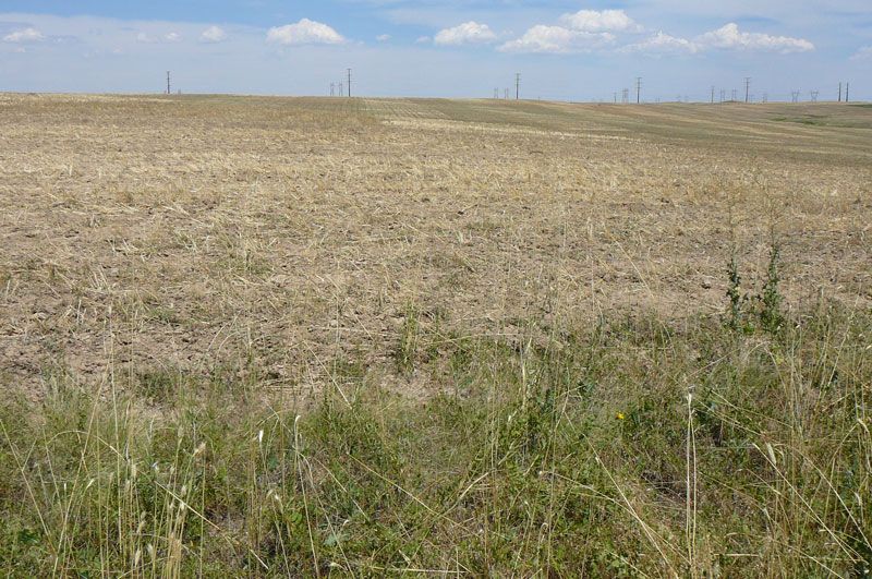 Brown harvested field under a blue sky, with sparse vegetation in the foreground.