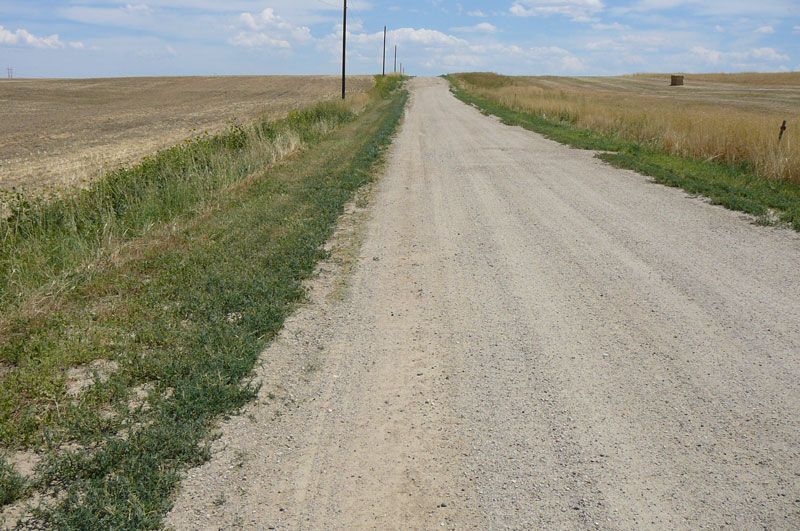 Gravel road stretches into the distance between fields of dry grass under a blue sky with telephone poles.