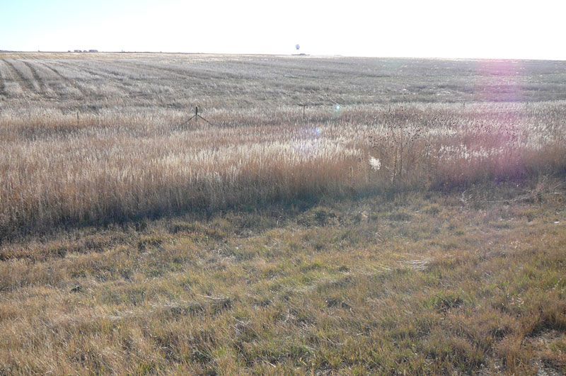 Dry, brown field with a slight dip, leading to a distant horizon under a bright sky.