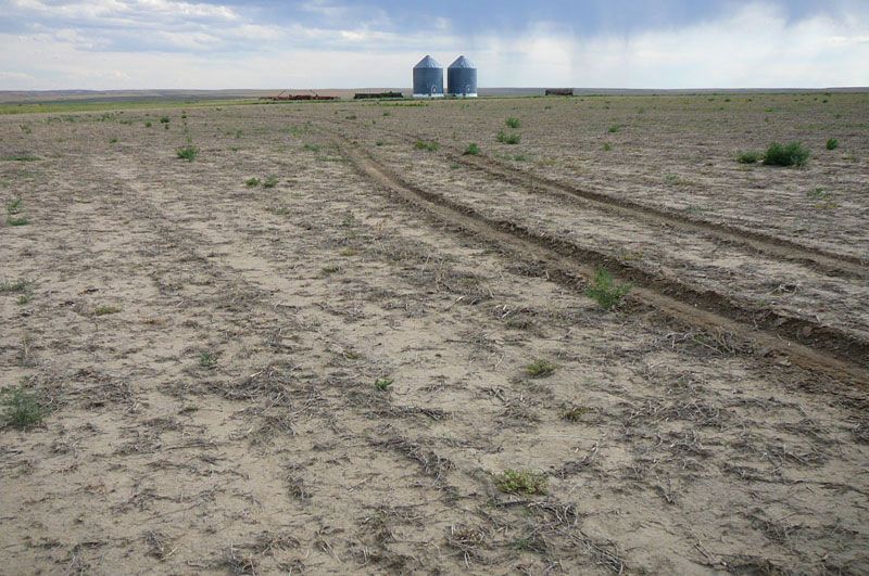 Dry, open field with tire tracks leading to grain silos under a cloudy sky.