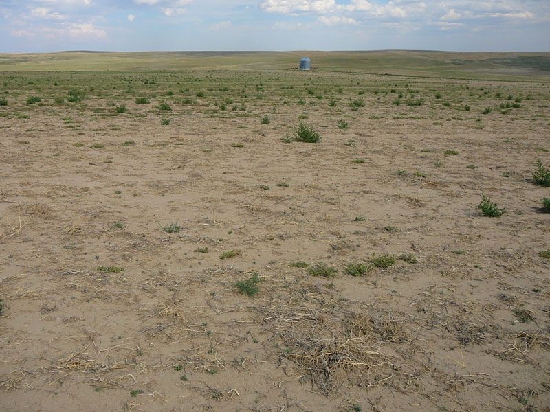 Vast, dry grassland with sparse vegetation under a partly cloudy sky; a blue and white structure is in the distance.