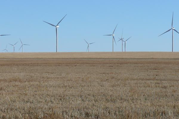 A field with wind turbines in the distance