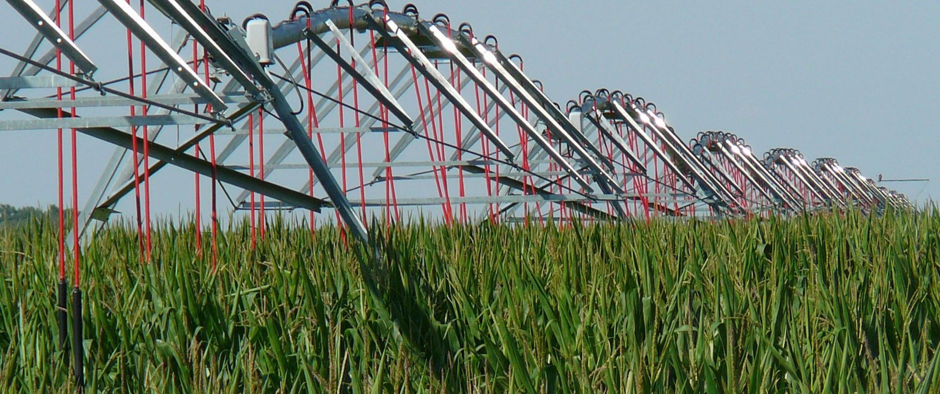 Irrigation system watering a field of green crops under a blue sky.