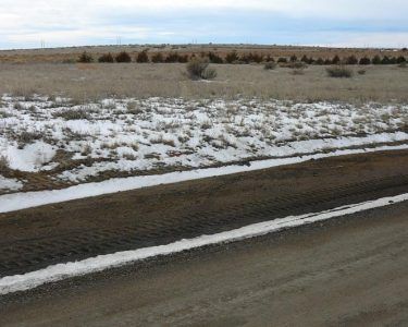 Dirt road with patches of snow along a grassy field and distant trees under an overcast sky.