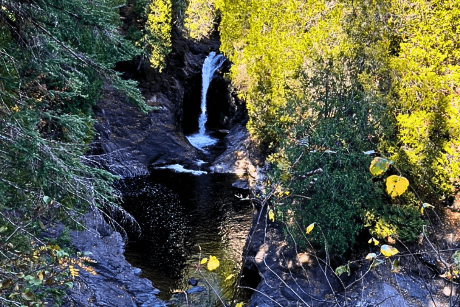 View of Cascade Falls from a distance in Cascade River State Park.