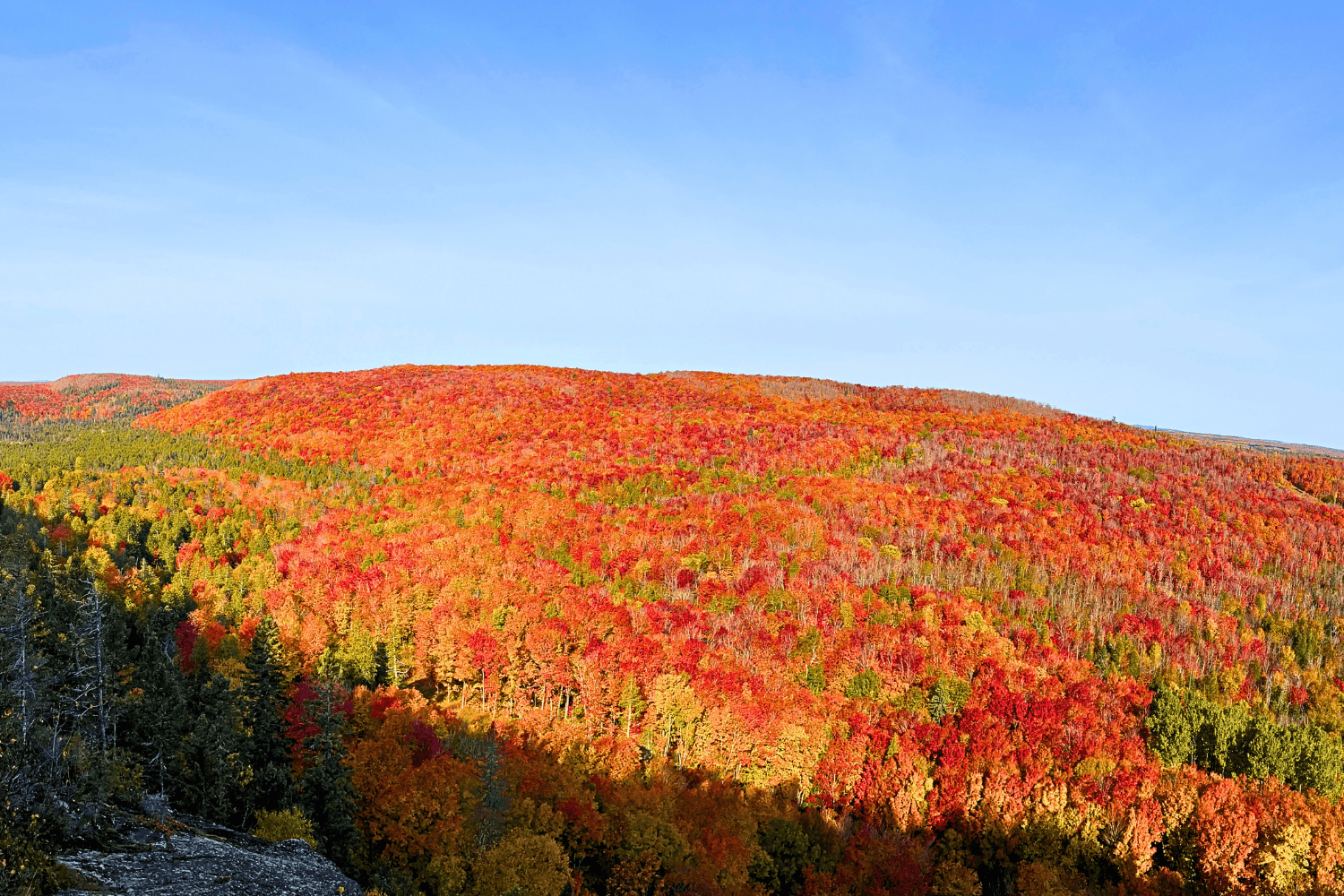 View of the fall colors from the summit of Lutsen, the top point of the gondola ride.