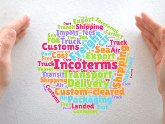 ICS Global Services - DDP Terms