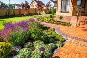 Landscaped front yard with purple flowers, green shrubs, and a brick walkway beside a house.