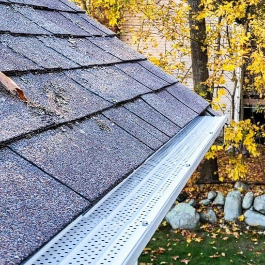 Two ladders leaning against a brown house, person climbing one. Overcast sky.